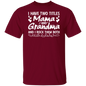 I Have Two Titles T-Shirt