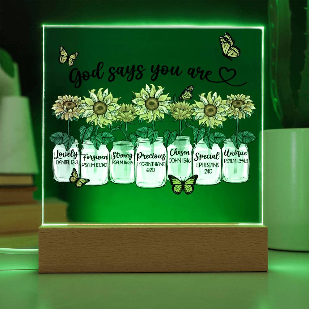 God Says You Are Sunflowers + Butterflies Acrylic Plaque