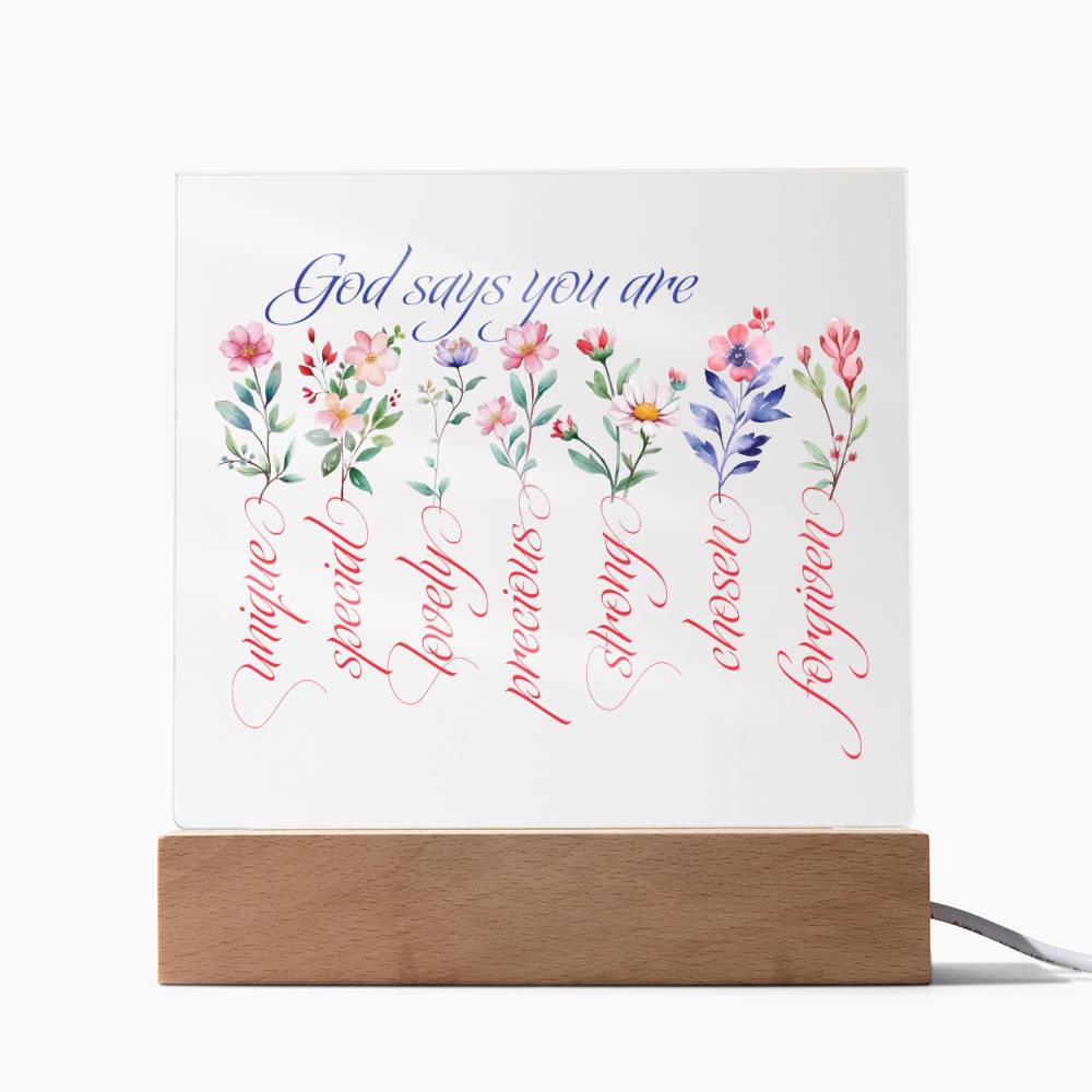 God Says You Are Wildflowers Faith-Based Acrylic Plaque